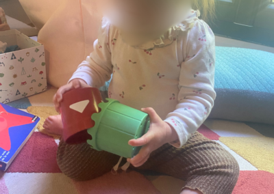 Services Auxiliaire parentale Portfolio